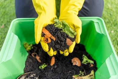 A picture of home compost bin.